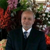 Adel Elsayed
