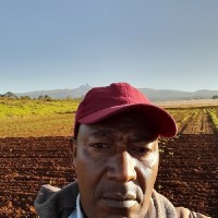 Stephen Ngamau