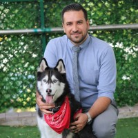 omid maghsoudi