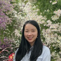 Qing Ke