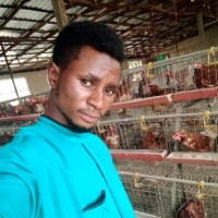 Jibrin Musa