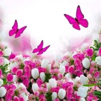 Garten Garten