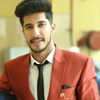 Vikas Modgil