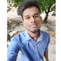Alagarsamy P