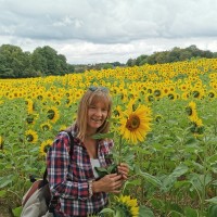 Sue Bartlett