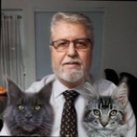 Gérald Corriveau