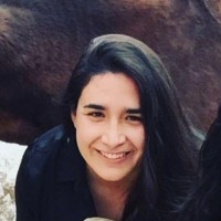 Vania Palavecino Fernández