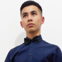 Victor Daniel Gamarra Villalba