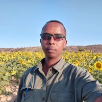 Mohamed Amin