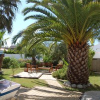 ISABELLE RAIMBAULT FOURNIER