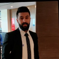 Vineesh P V