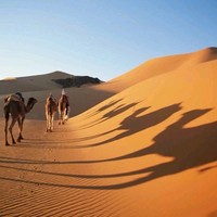 Thrill Of Morocco Tours