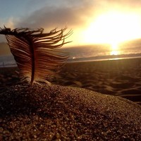 Christopher Caldwell