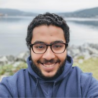 Hossameldin Mohammed