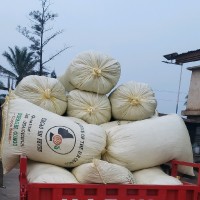 Deo Kasereka Kasongo