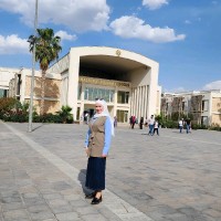 Nour Alzein