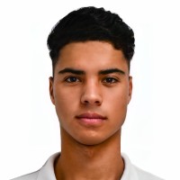 Pedro Henrique Gonzalez Moro