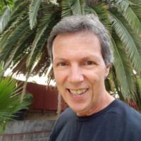 Joel Stein
