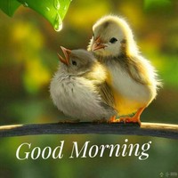 Sujith Krishna