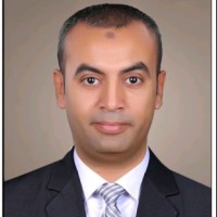 Walid Ibrahim Elgohary , Pmp, Bsc. Eng., Osha, Gwo Offshore