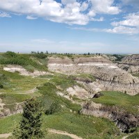 Bruce Glauser