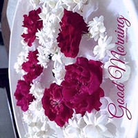 Anish Ali