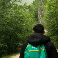 Valentin Stanescu
