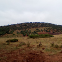 Ahidous Amzwaro
