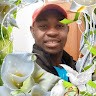 Paul L Chakanyuka