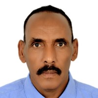 Mohamed Mohi