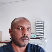 Kabbashi Tawor