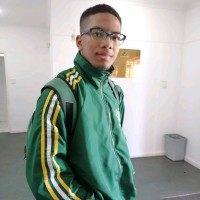 Louis François du Toit