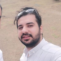 Fardin Shamsi