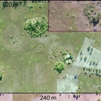 Egas andre vilanculos