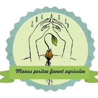 Andrea Sanna