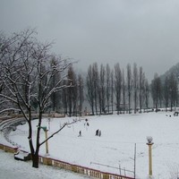 Vikrant Rana