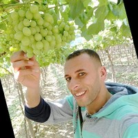 Hisham Sallam