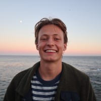 Zane D'Amico