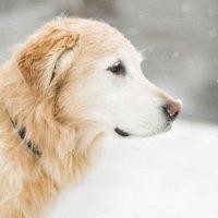 熊俊琪