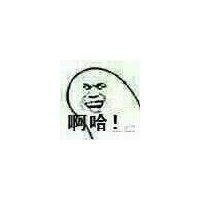 徐诗博