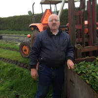 Henk Sturing