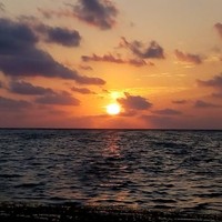 Johanna Flores Del Razo