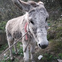 Batuhan Aksu
