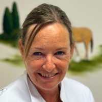 Singrid Verhoeks