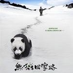 zhao bowen