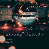 Sonia Aslam
