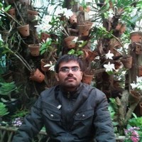 Vikas Dhankhar