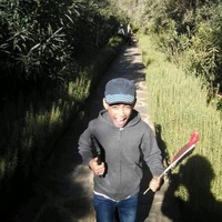 Debbagh Mohamed