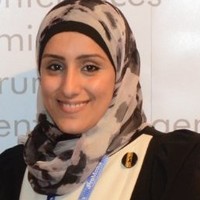 Dina A.Hakim Ismaeil