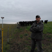 felipe torres Eichholz